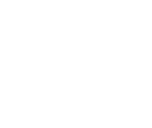 Decorative line